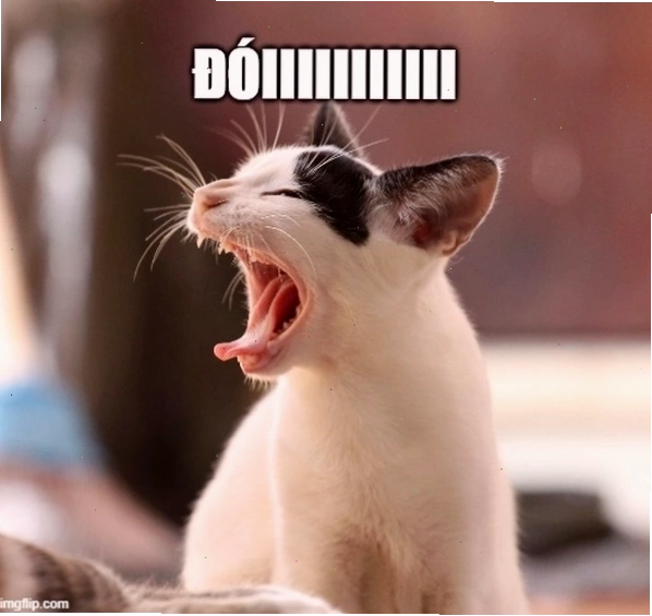Bộ sưu tập ảnh há miệng ra meme cực độc