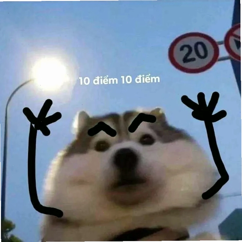 Bộ sưu tập meme truyền động lực vui nhộn
