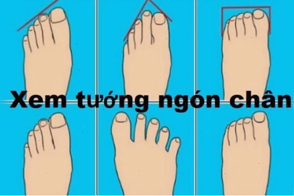 Các ngón chân với hình dáng khác nhau