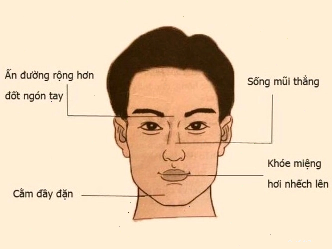 Cách xem nhân tướng học qua các đường nét trên khuôn mặt