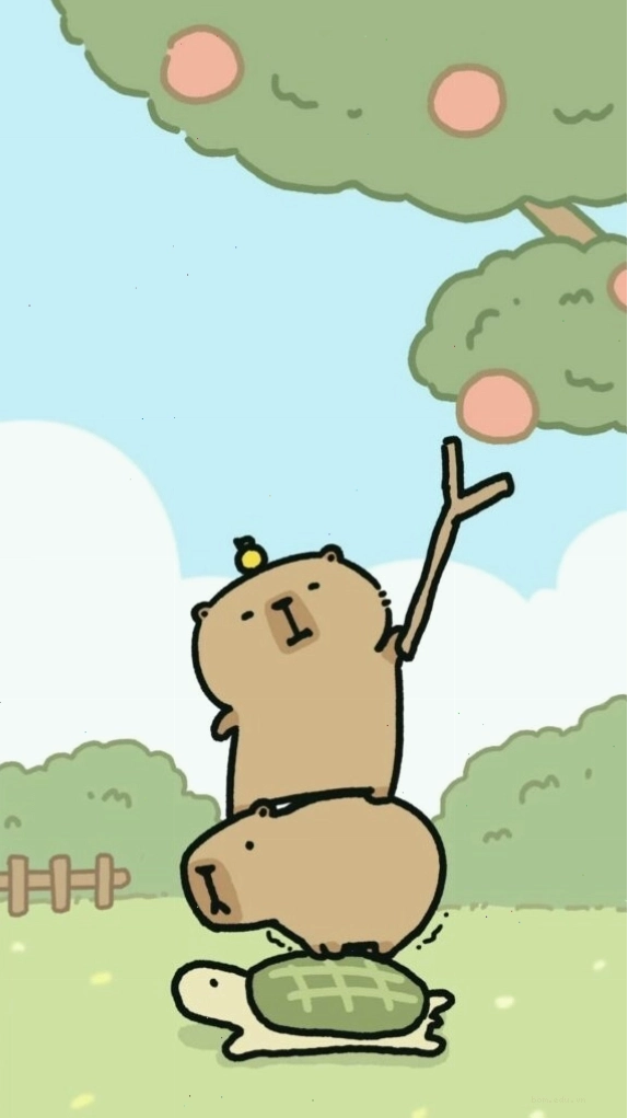 Capybara xếp chồng lên rùa