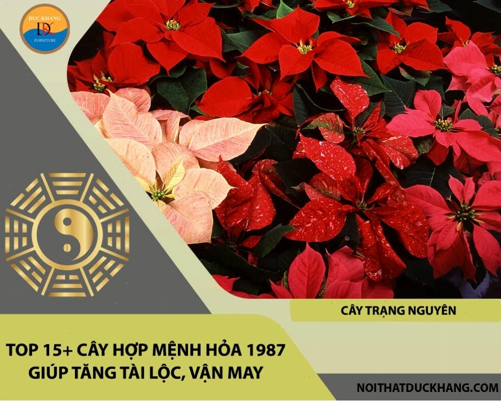 Cây cảnh xanh tốt giúp tăng vượng khí cho người tuổi Đinh Mão 1987