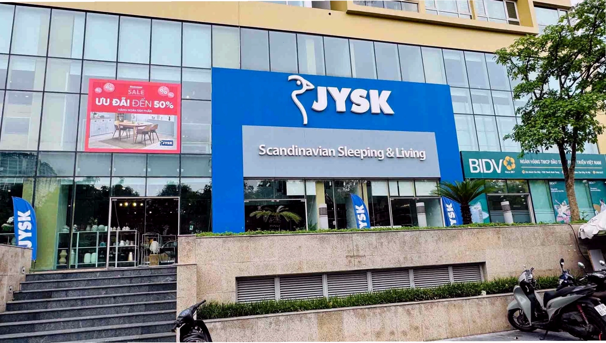 Cây Kim Tiền với sắc xanh tươi tốt, biểu tượng cho sự giàu sang