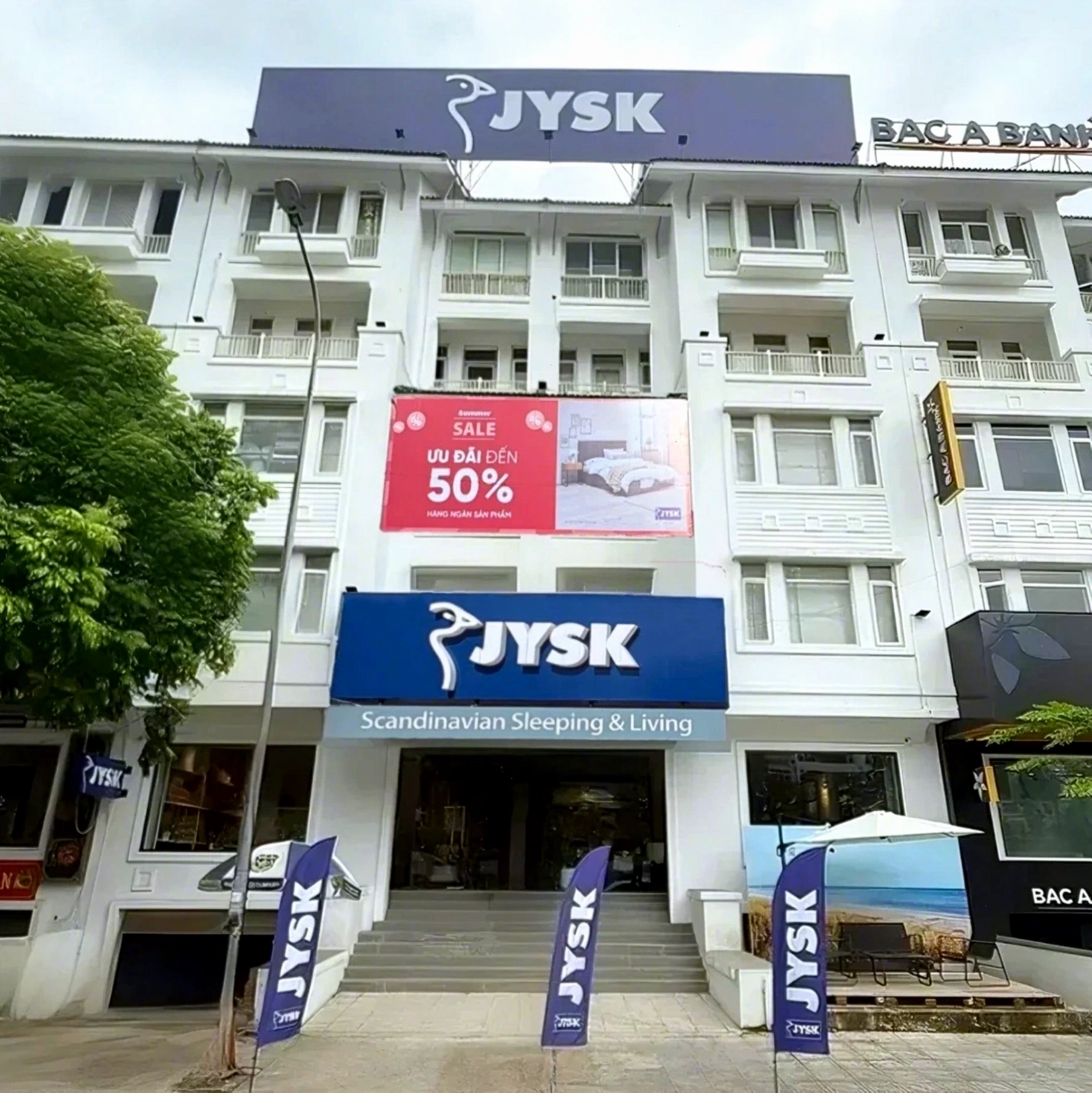 Cây Lưỡi Hổ với lá xanh sọc trắng, khả năng lọc không khí tốt