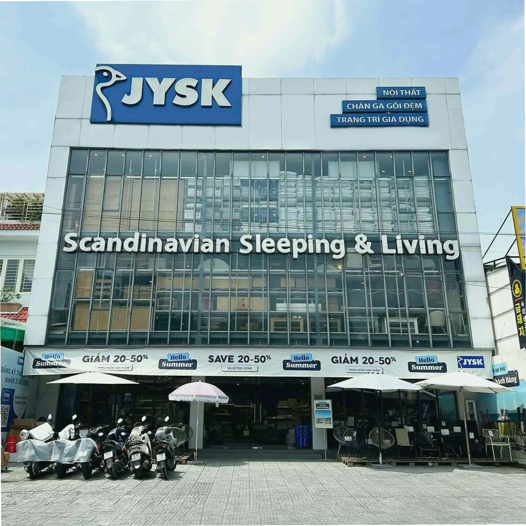 Cây Phát Lộc với dáng vẻ thanh mảnh, tượng trưng cho sự sinh sôi