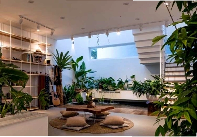 Cây xanh tốt tươi là dấu hiệu phong thủy tốt cho nhà ở
