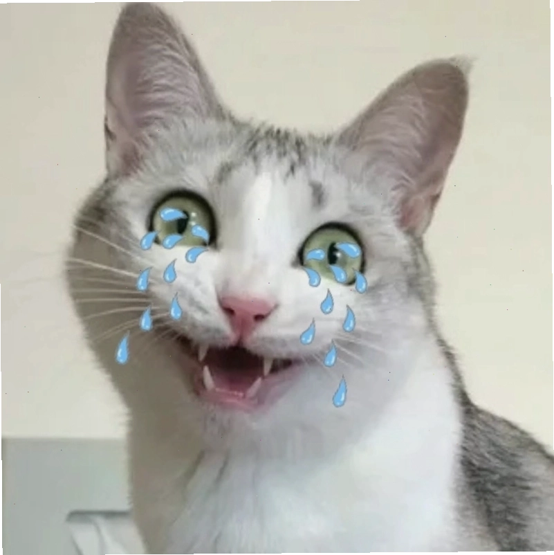 Cười ra nước mắt với meme cat cry khi chú mèo thể hiện sự thất vọng
