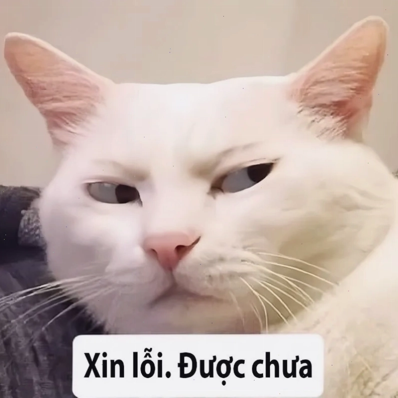 Dùng meme xin lỗi người yêu để hâm nóng tình cảm