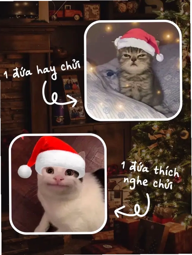 Hai ảnh mèo meme Giáng Sinh, một mèo cau có, một mèo biểu cảm khó hiểu