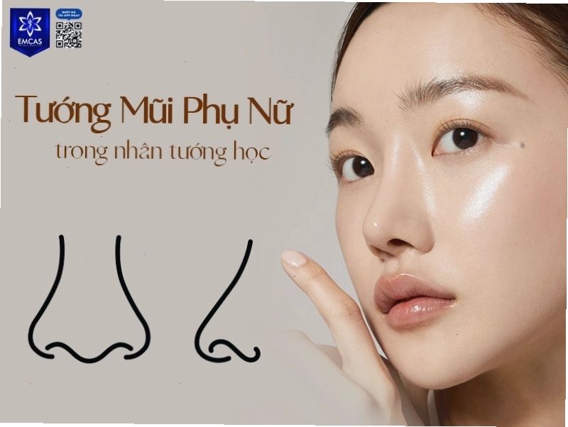 Hiểu rõ tướng mũi phụ nữ giúp nhận diện điểm mạnh, điểm yếu