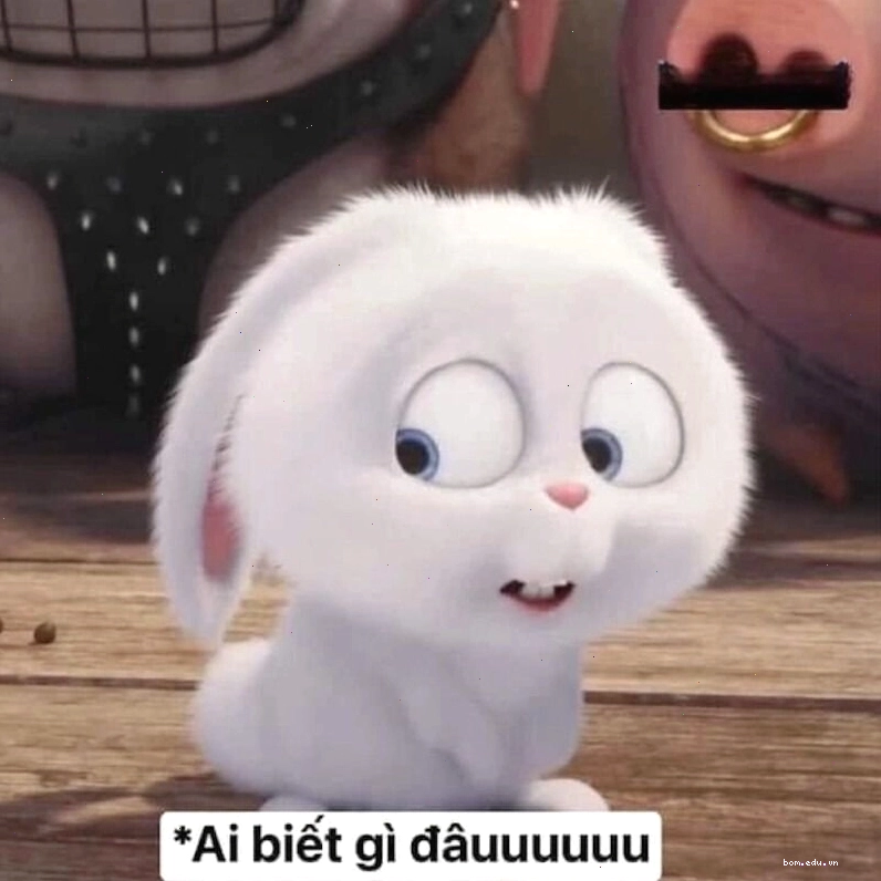 Hình ảnh meme Ai Biết Gì Đâu độc đáo