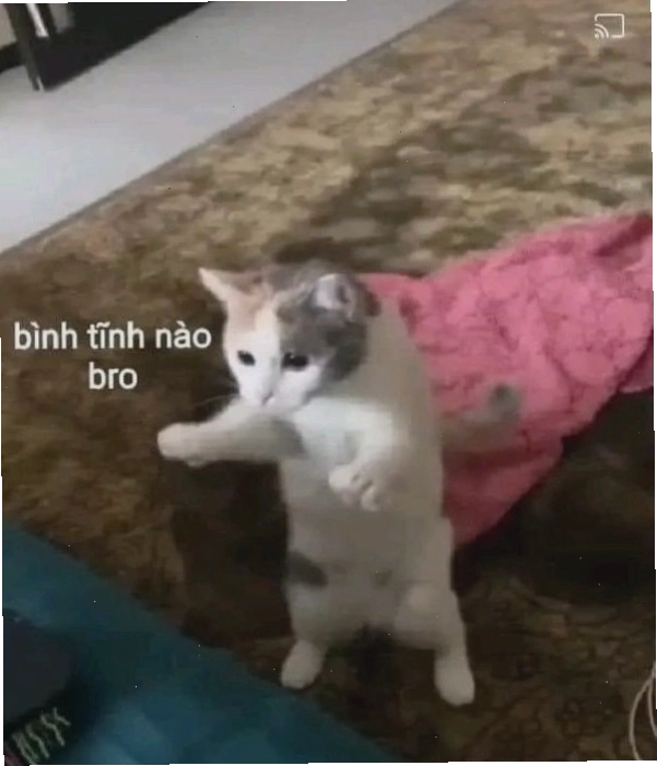 Hình ảnh meme biểu thị sự điềm tĩnh vượt qua khó khăn