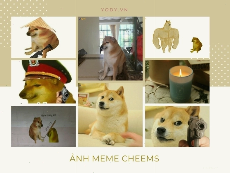 Hình ảnh meme Cheems gốc thể hiện sự ngây ngô