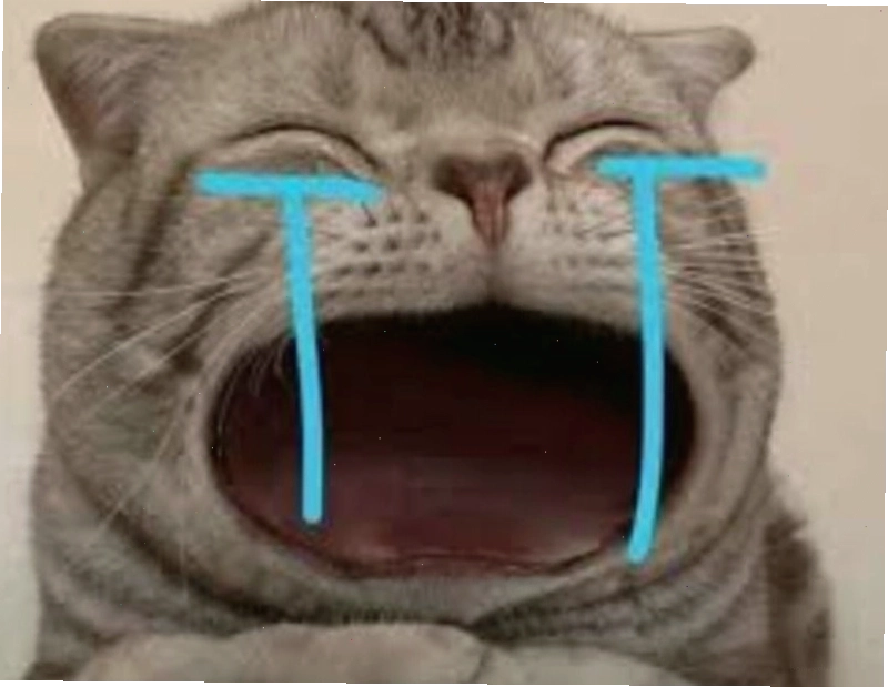 Hình ảnh meme động vật khóc