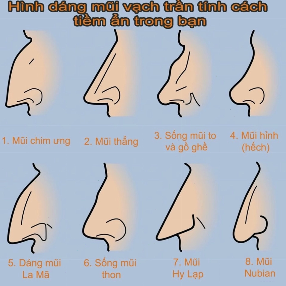 Hình ảnh tổng hợp các dáng mũi phổ biến trong nhân tướng học