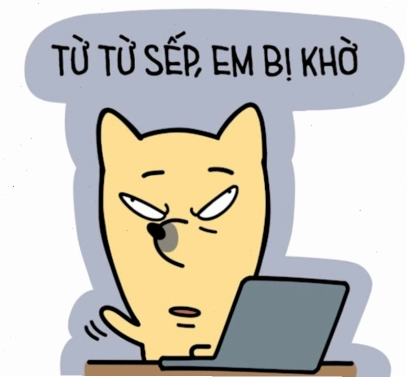 Hình nền máy tính meme chó biểu cảm