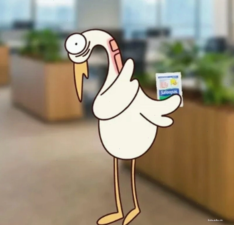 Hình nền máy tính meme độ phân giải cao