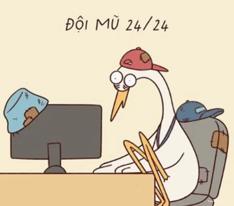 Hình nền máy tính meme mèo biểu cảm