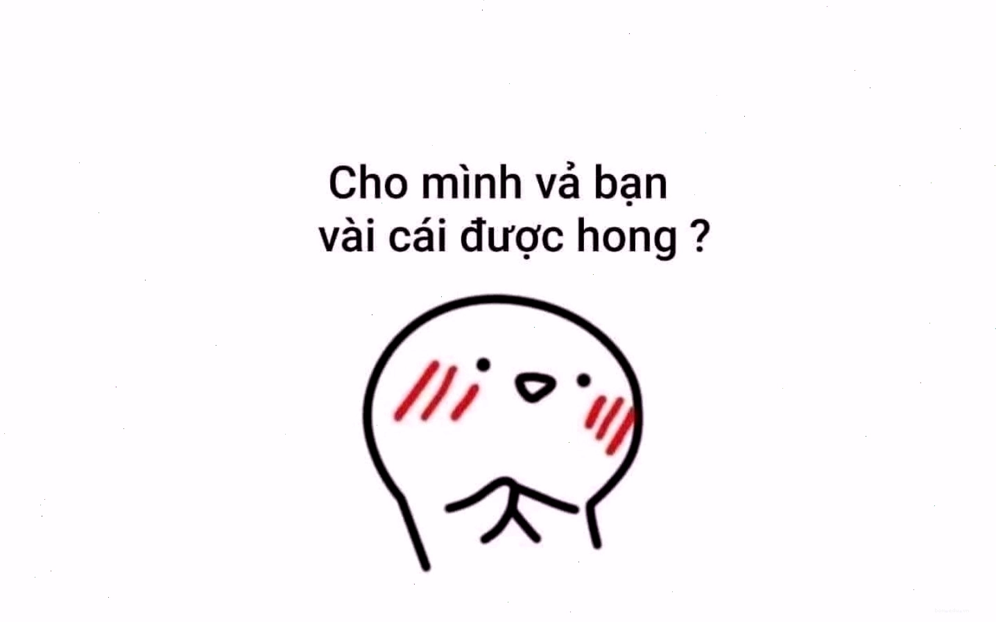 Kho ảnh meme mèo hài hước khổng lồ
