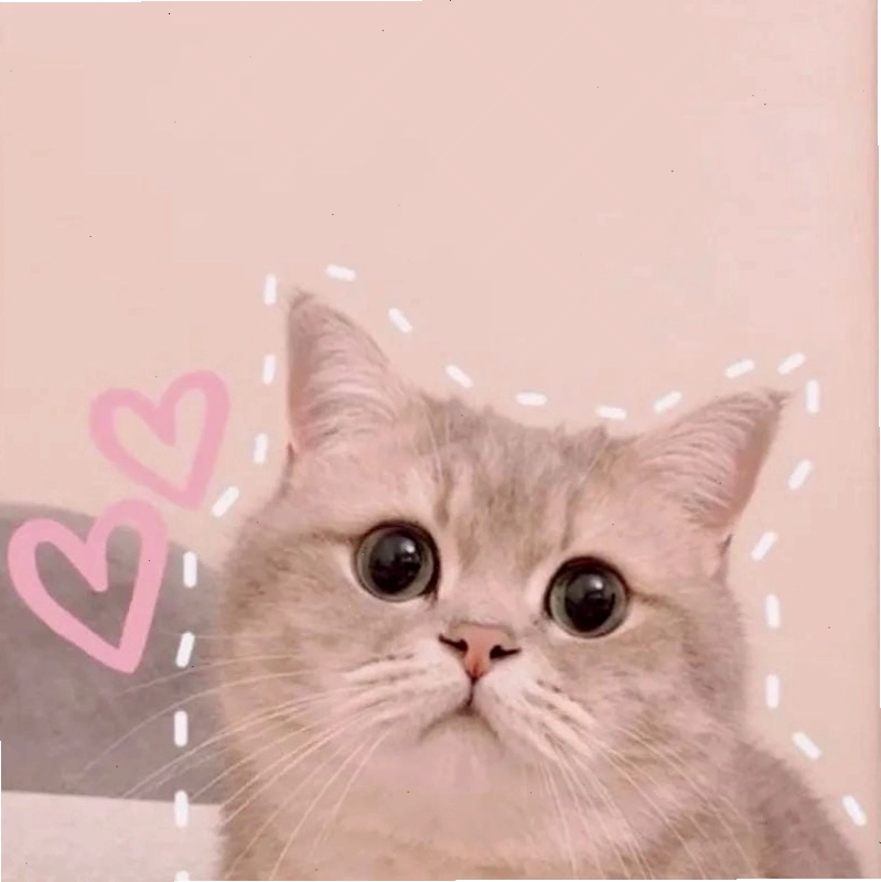 Lạc lối trong avt meme trending và độc lạ