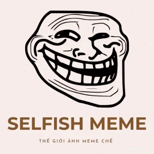 Logo The Selfish Meme