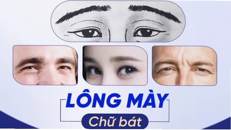 Lông mày chữ Bát - Tướng mày của người làm ăn phát đạt