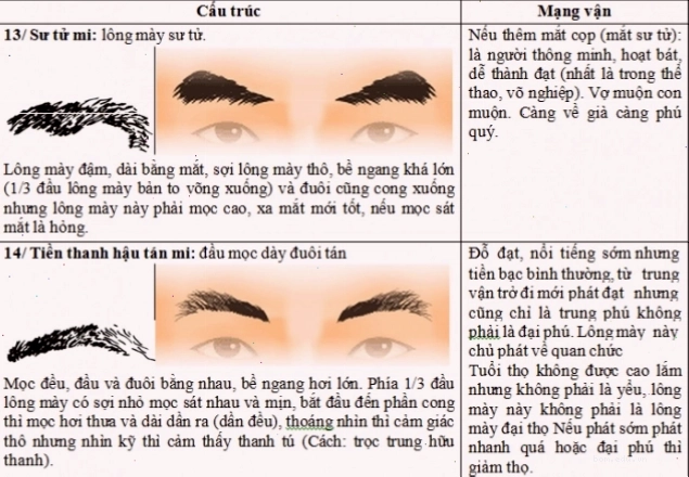 Lông mày đậm, dày thể hiện người có ý chí kiên cường