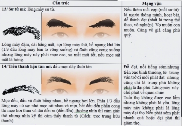 Lông mày đầu đậm đuôi nhạt thể hiện ý chí mạnh mẽ
