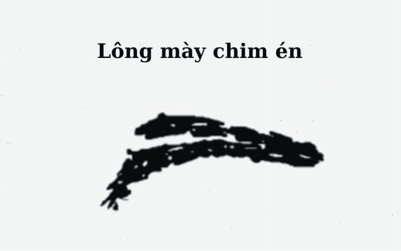 Lông mày giao nhau có thể biểu thị tính cách hay ghen tuông