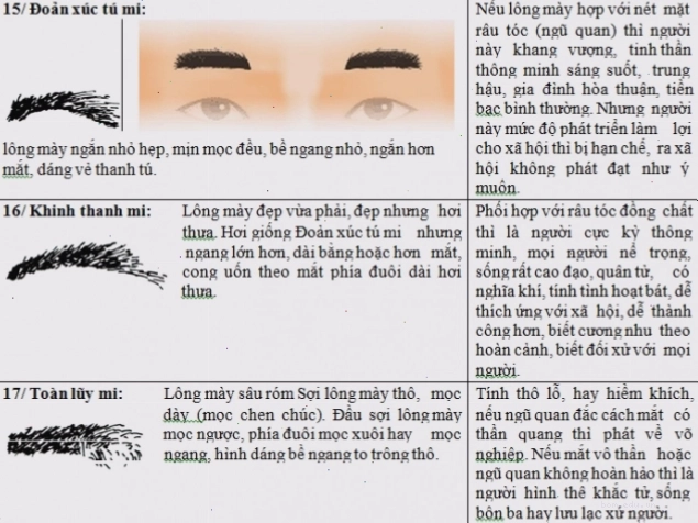 Lông mày ngắn, nhỏ có thể đi kèm với tính cách nóng nảy