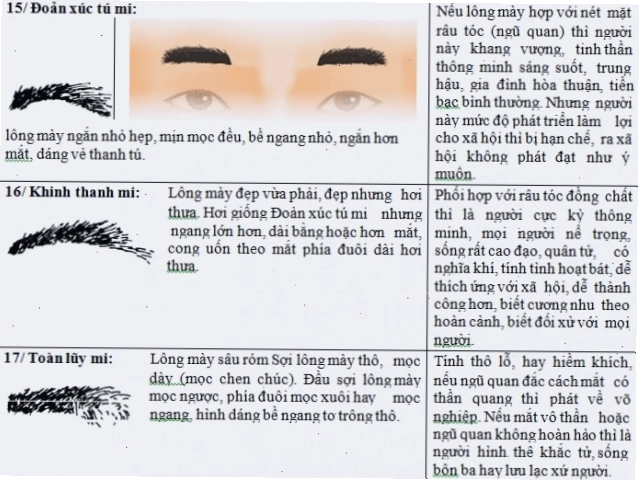 Lông mày như sâu róm thể hiện tính cách nóng nảy