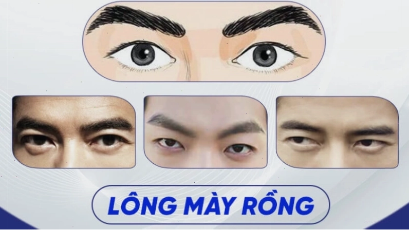Lông mày rồng - Tướng mày của người lãnh đạo xuất chúng