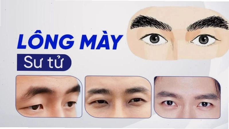 Lông mày sư tử - Tướng mày của người có quyền lực và sự nghiệp vững chắc