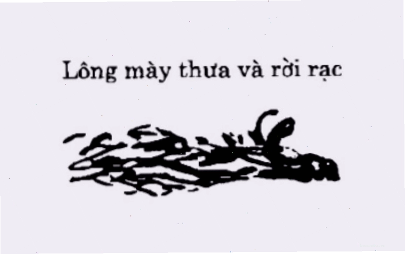 Lông mày thưa, nhạt thường đi kèm với tính cách hiền lành