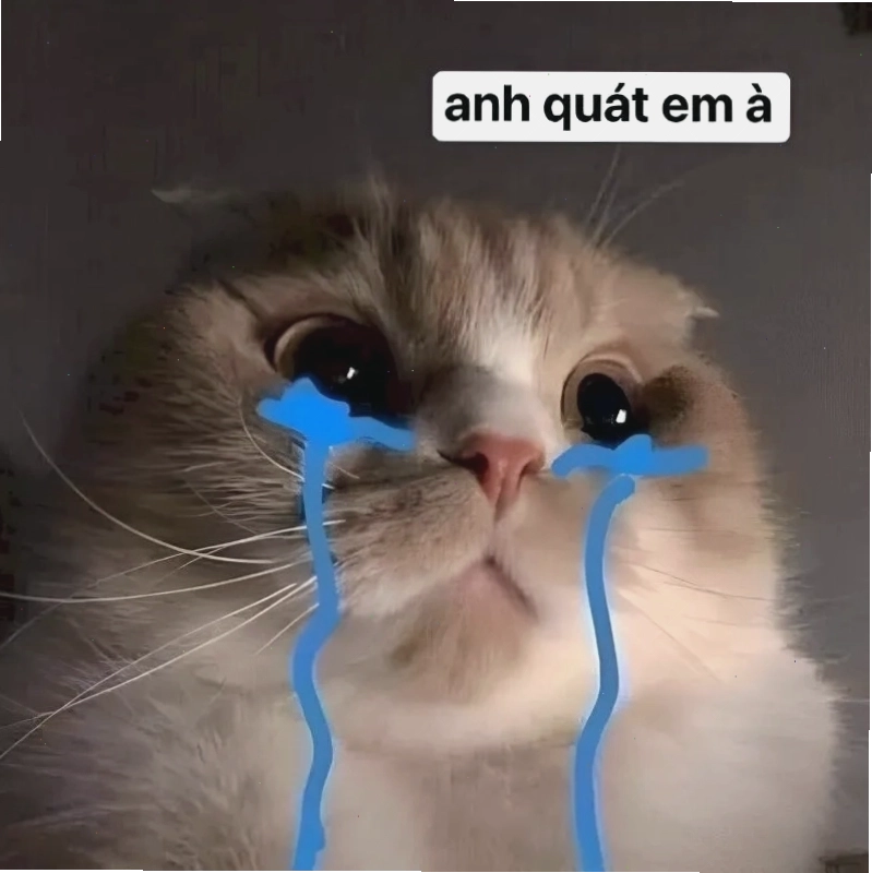 Lướt ngay bộ hình meme xin lỗi đáng yêu nhất