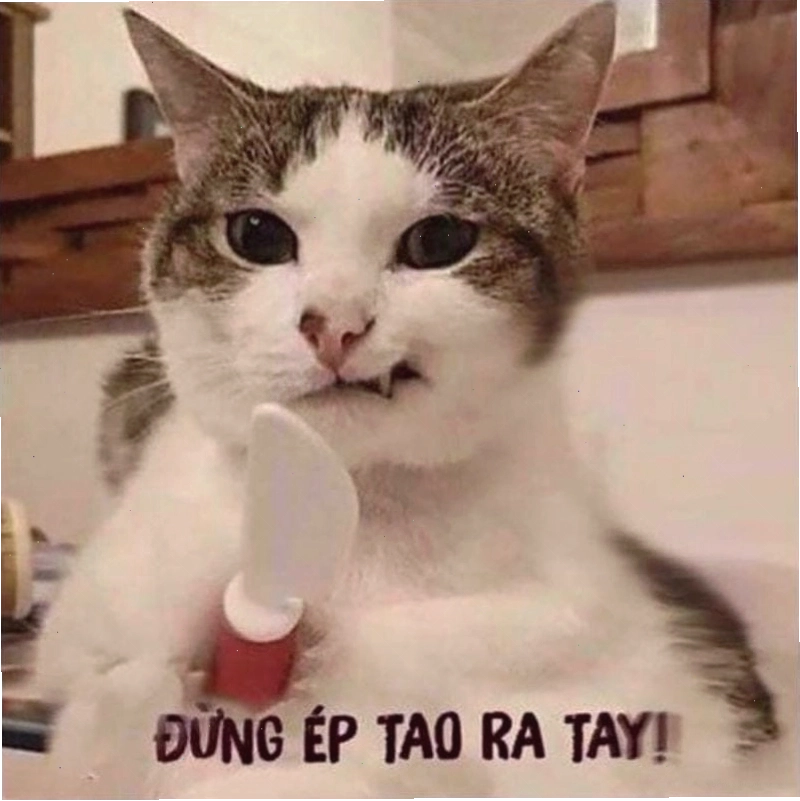 Lý do trào lưu avt meme được yêu thích trên mạng xã hội