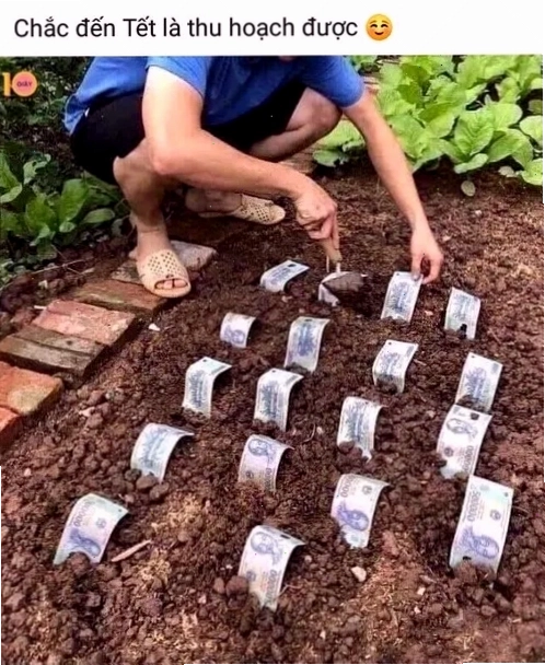 Meme 500k thể hiện sự hài hước về tình trạng hết tiền cuối tháng