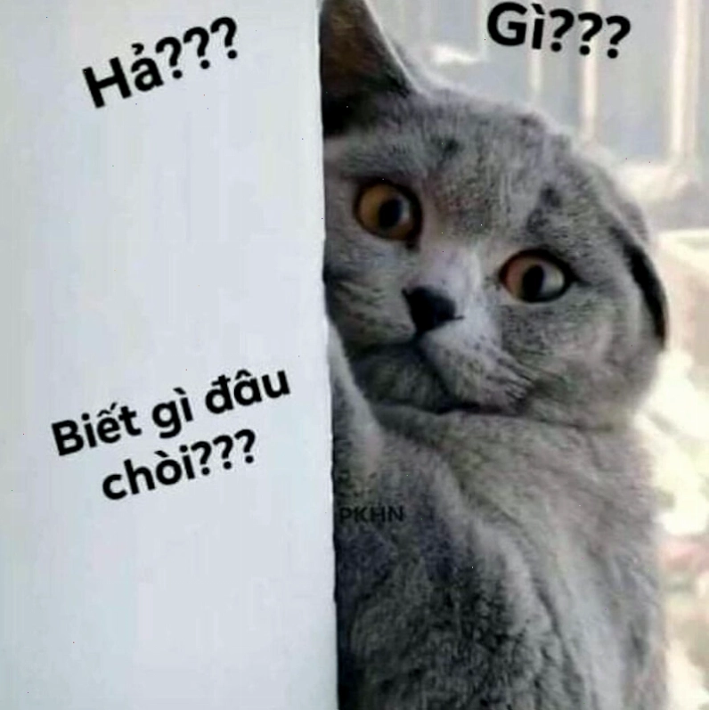 Meme Ai Biết Gì Đâu gây cười