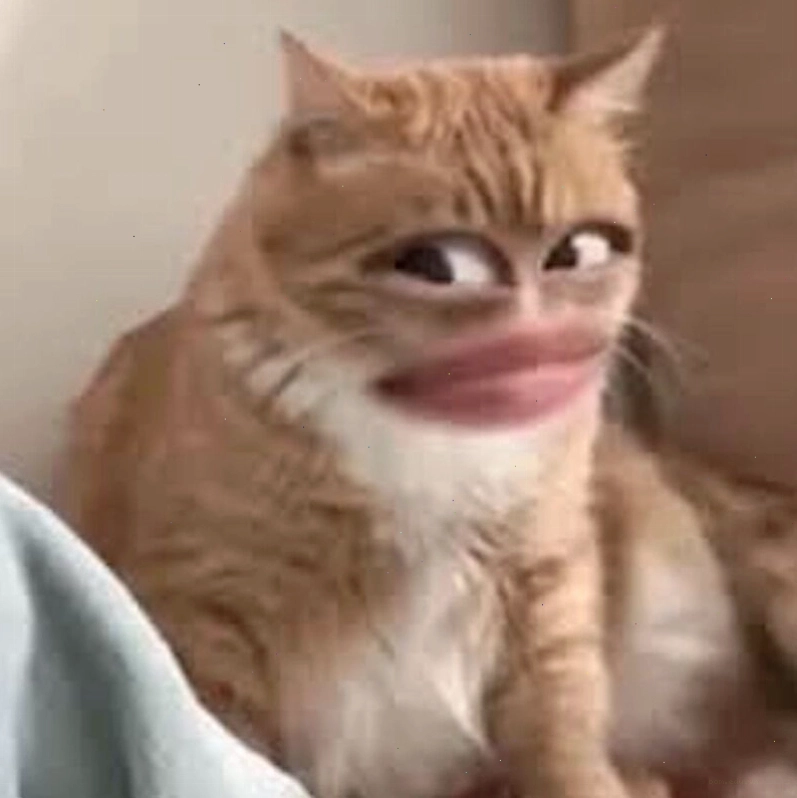 Meme Ai Biết Gì Đâu thể hiện sự bối rối