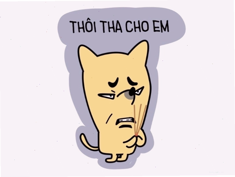 Meme avatar hài hước về cuộc sống