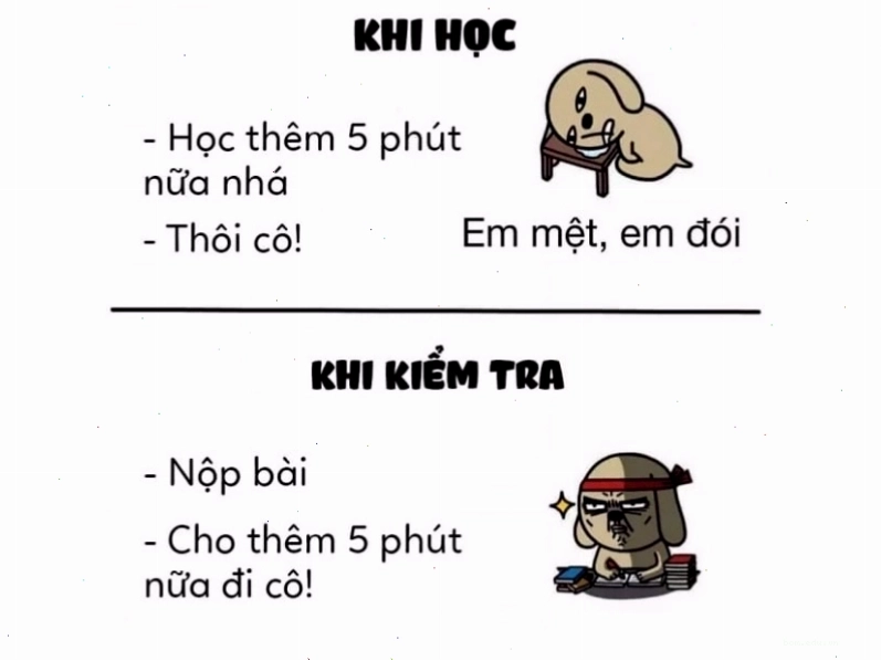 Meme avatar hài hước về học tập