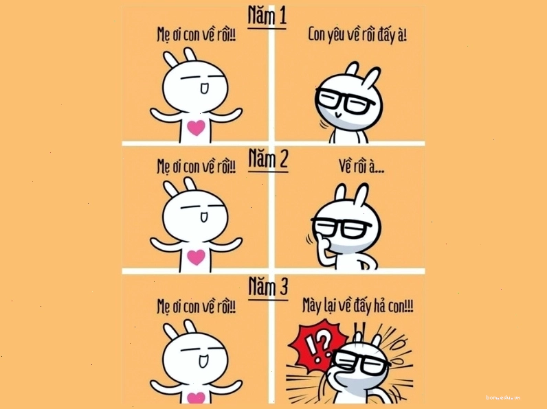Meme avatar hài hước về phụ huynh và sinh viên