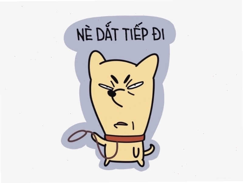 Meme avatar người que hài hước