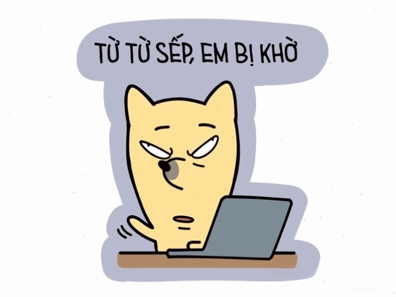 Meme avatar vô tri hài hước biểu cảm ngơ ngác