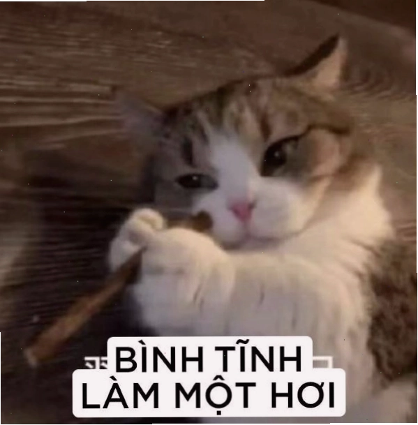 Meme bình tĩnh nào, đừng nóng vội
