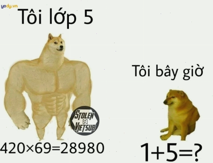 Meme Cheems về học sinh hài hước