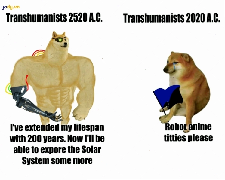 Meme Cheems vs Swole Doge về dịch Covid