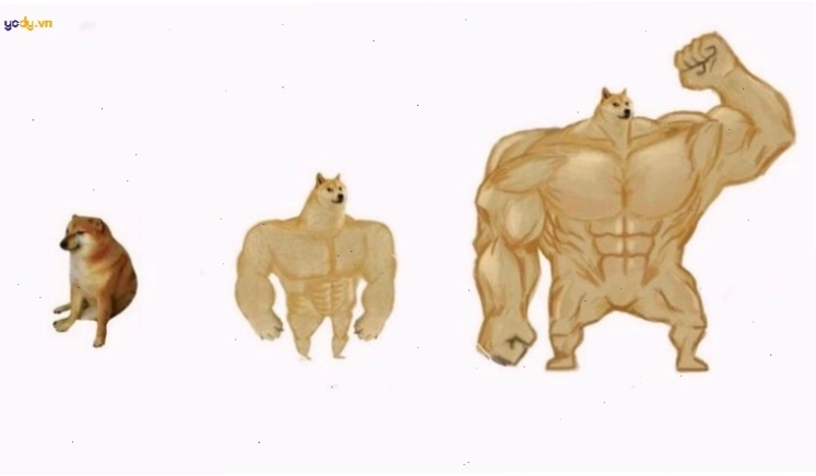Meme Cheems vui nhộn