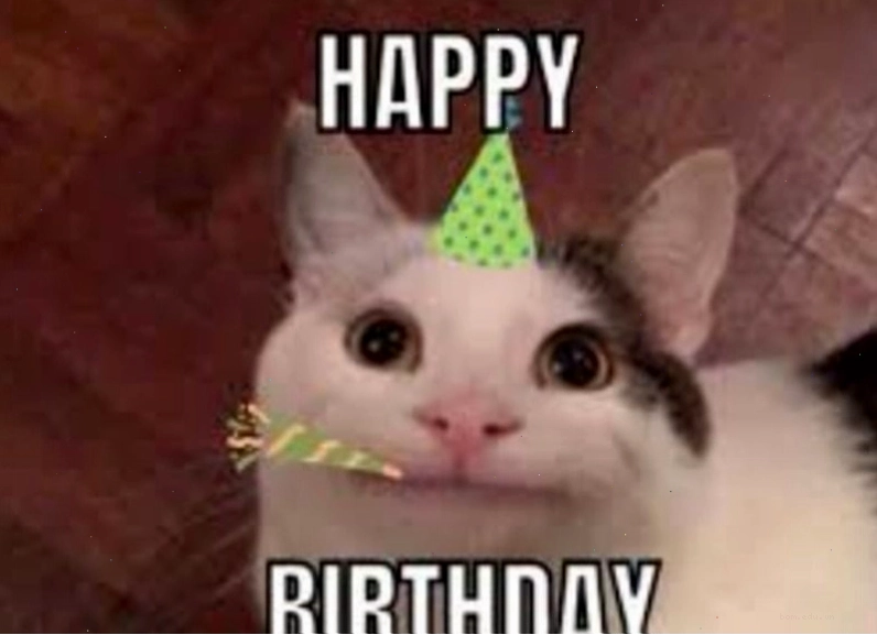 Meme chúc mừng sinh nhật hình chú chó mặt ngơ ngác