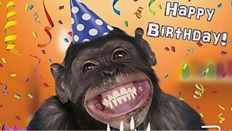 Meme chúc mừng sinh nhật hình mèo đang chơi đùa với bóng